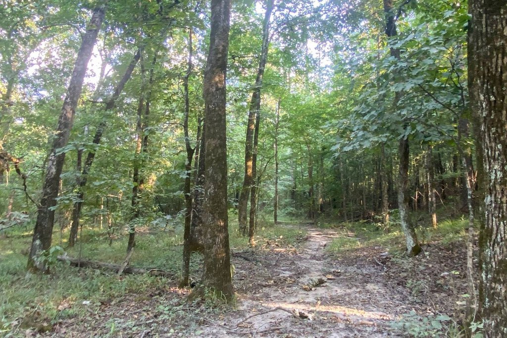 Picture 7