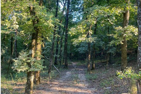 Land, Hochatown, OK