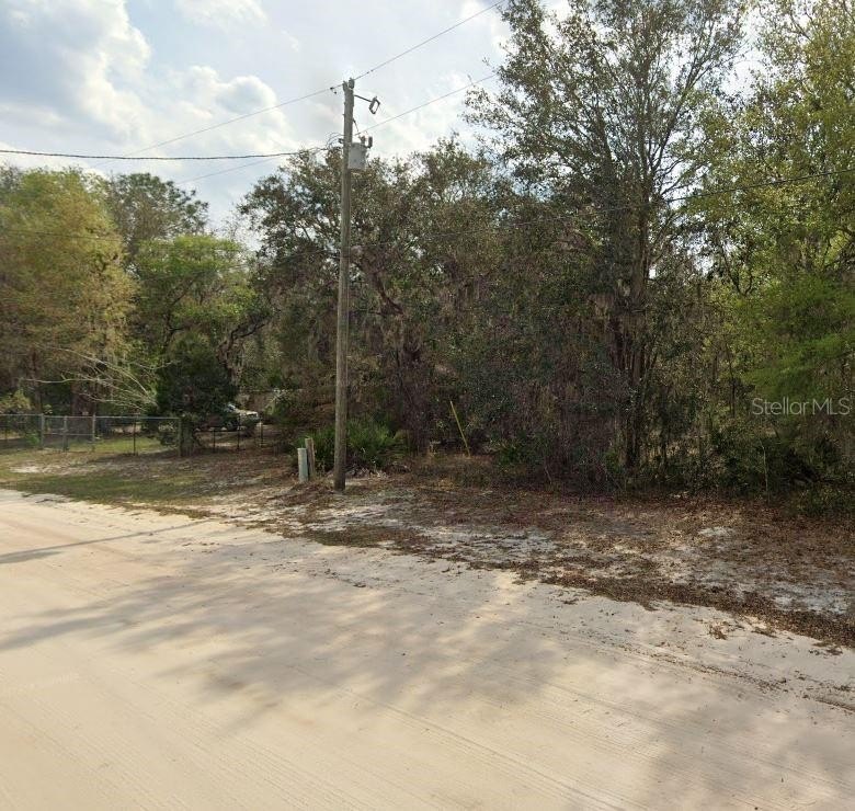 Picture 5