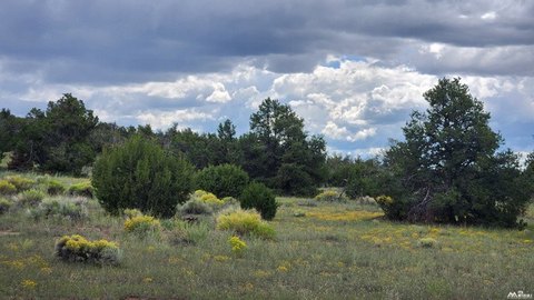 Land, Quemado, NM