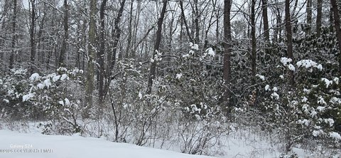 Land, Jim Thorpe, PA