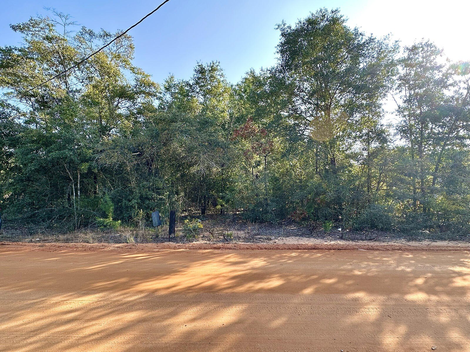 Wooded Lot in DeFuniak Springs