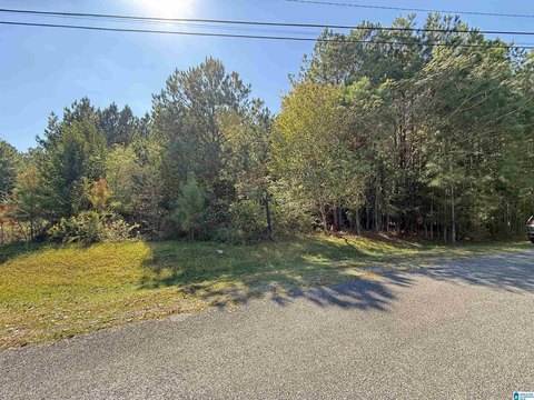 Odenville Acreage: Build Your Dream
