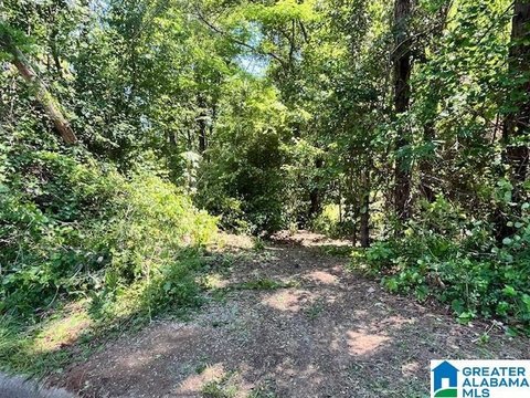 Wooded Lot in Helena