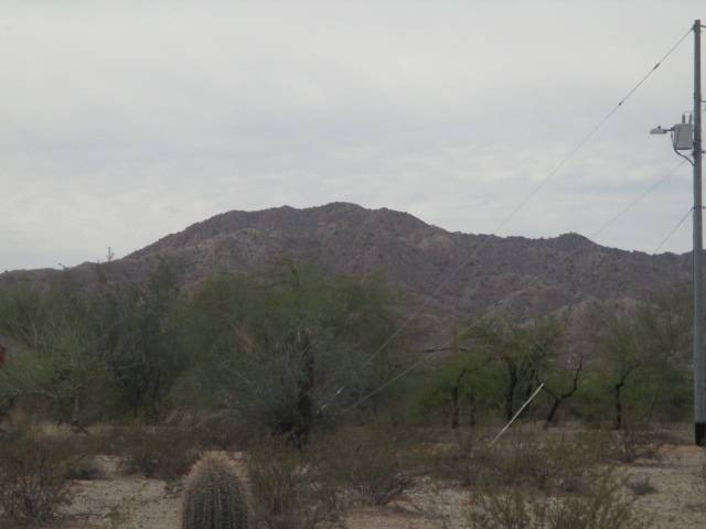 Picture 5