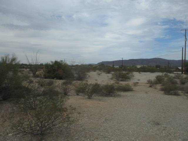 Picture 2