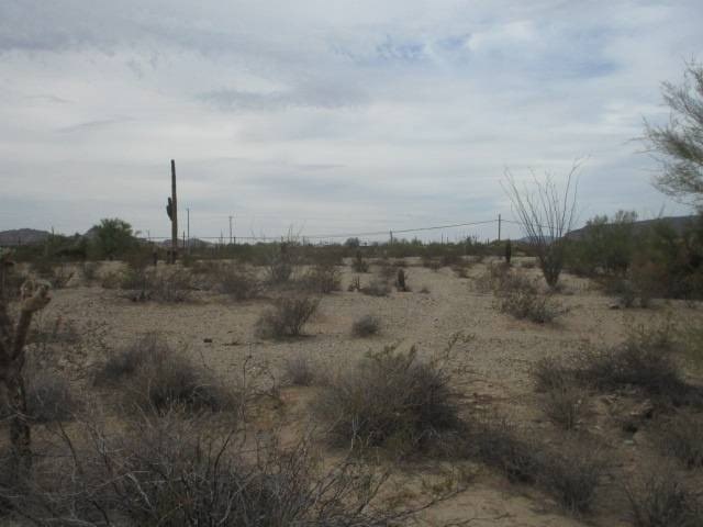 Picture 3