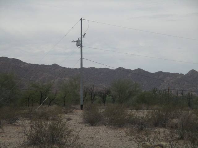 Picture 4