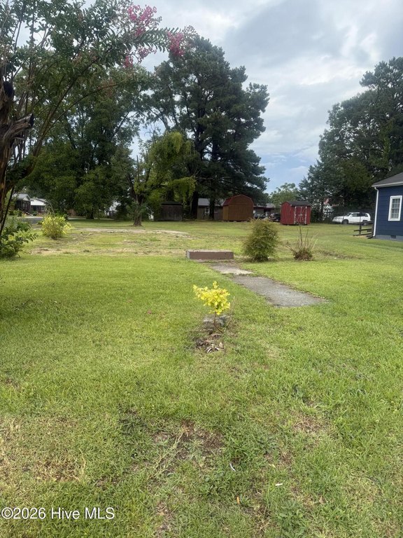 Picture 2