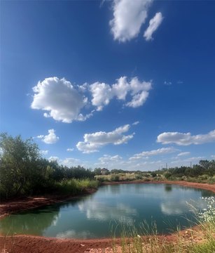 Land, Tuscola, TX