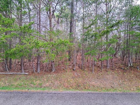 Residential Lot in Fairfield Glade