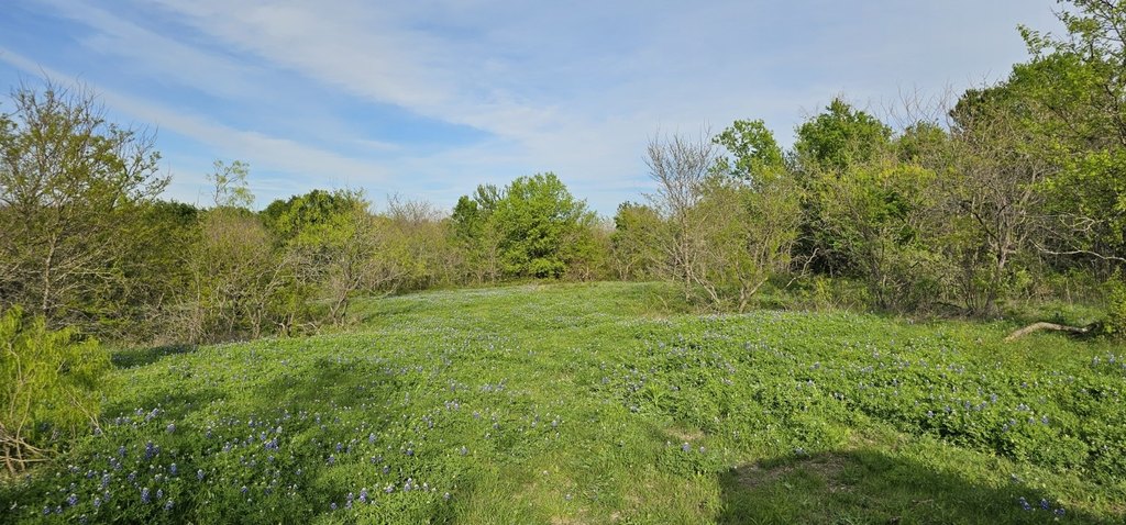 Picture 8