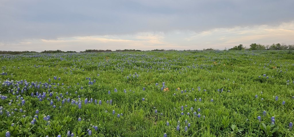 Picture 31