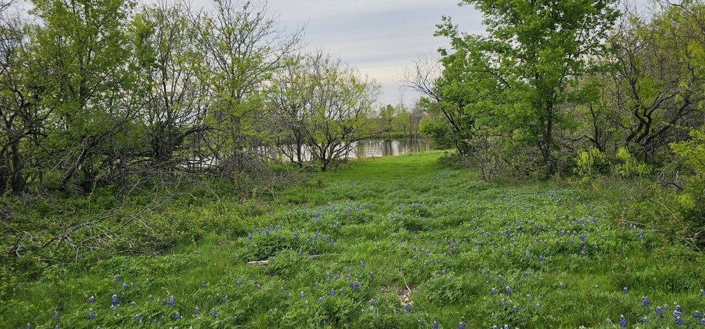 Picture 26