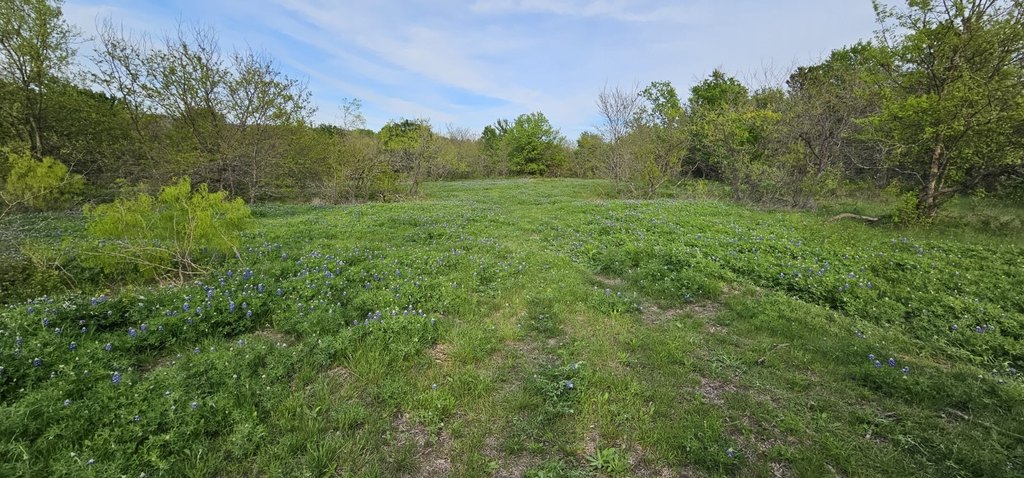 Picture 20