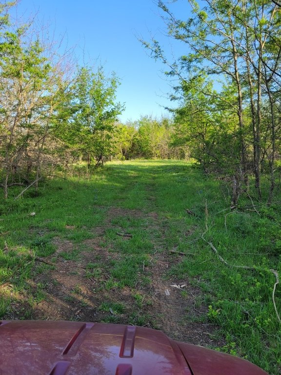 Picture 11