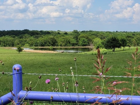 Ranch-Ready Farmland with Pond