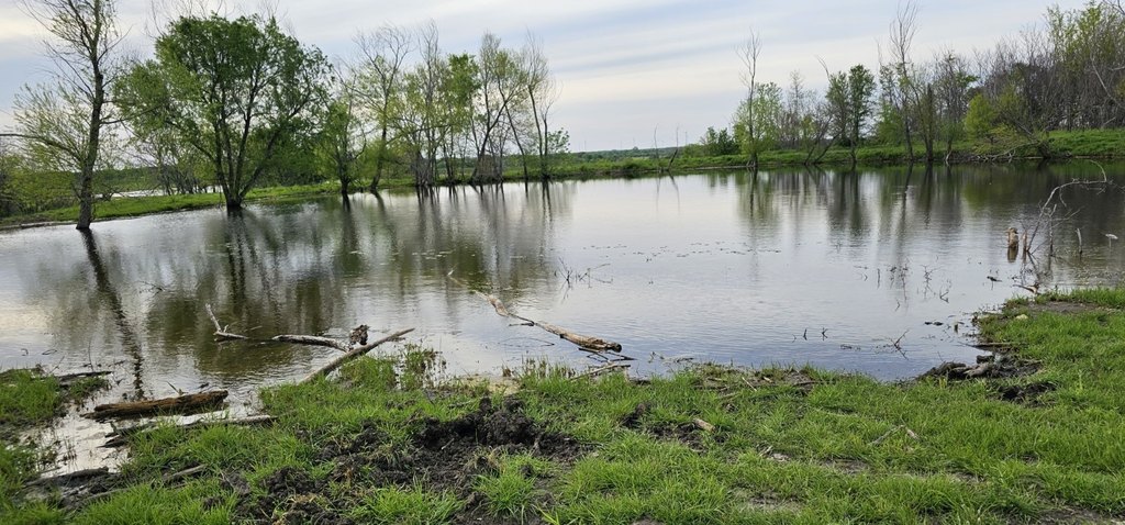 Picture 6