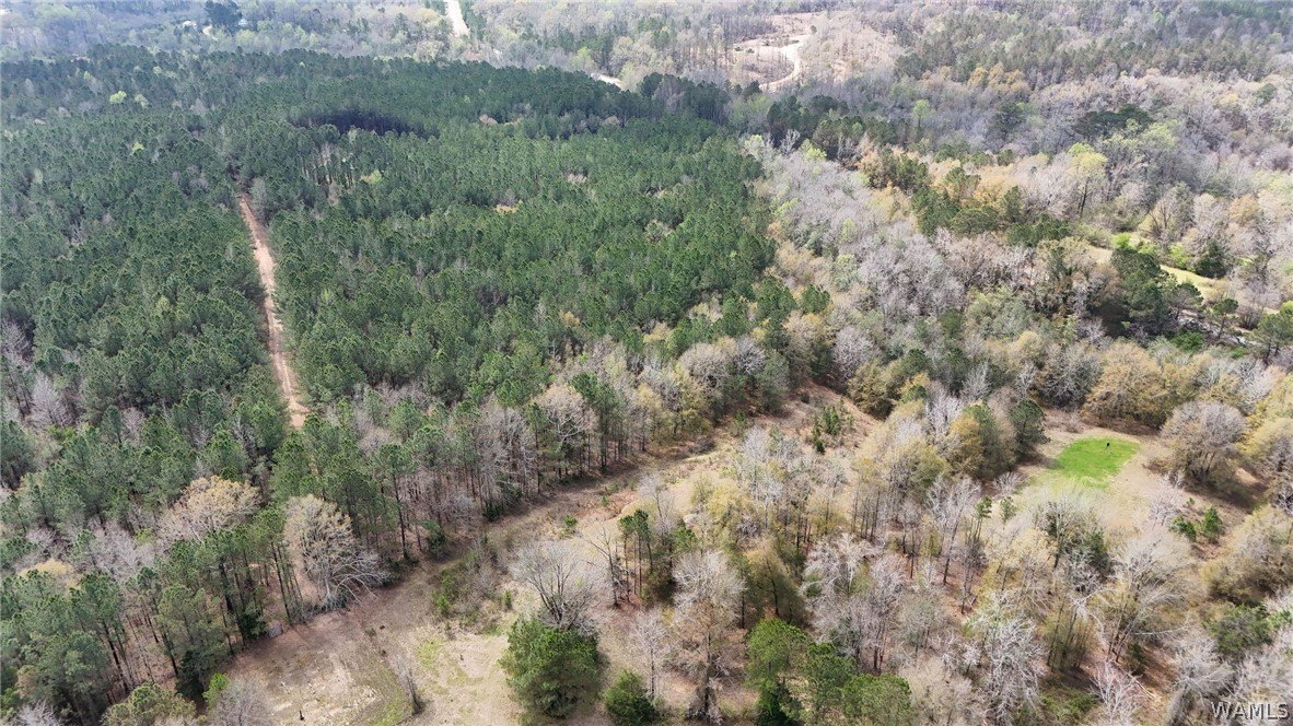 Northport Land with Utilities Available