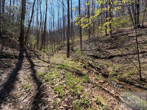 25 Acres in Arnett, WV