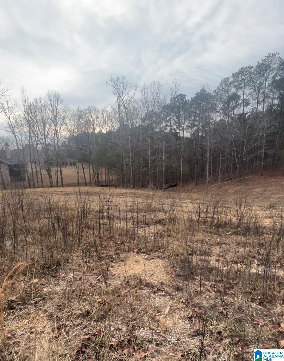 ONEONTA, AL Corner Lot