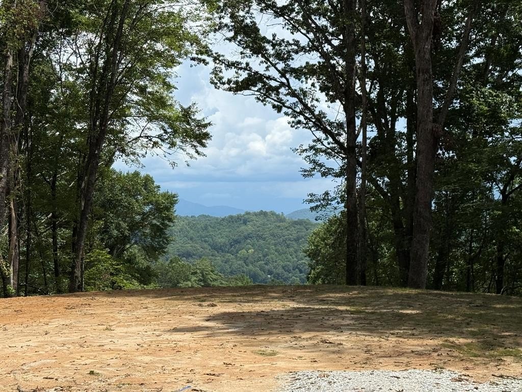 Land in Miners Ridge