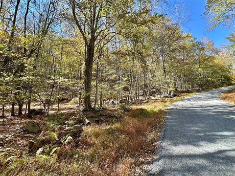 Secluded Land Parcel in Wurtsboro