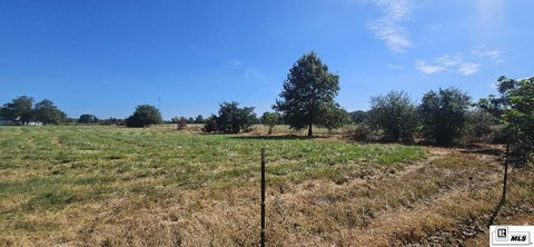 LAND - Oak Grove, LA