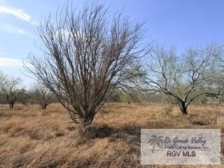 Land Available in San Benito