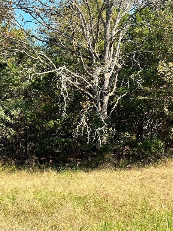 40 Acres Country Living Opportunity