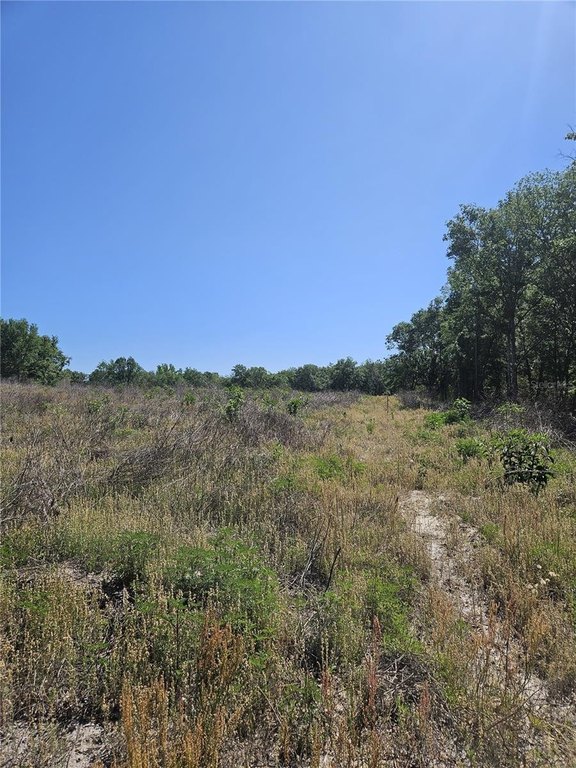 Picture 21