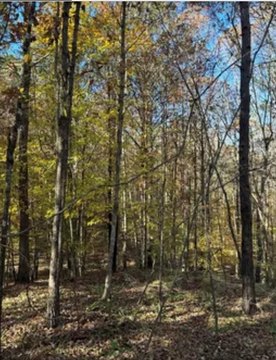 LAND - OXFORD, MS