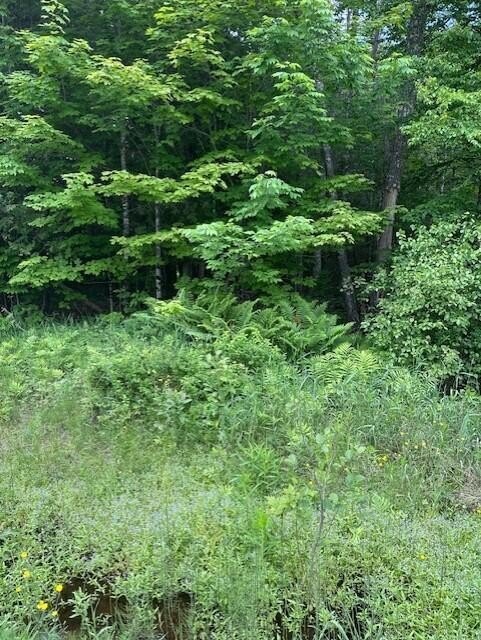 Corinth, ME Wooded Lot