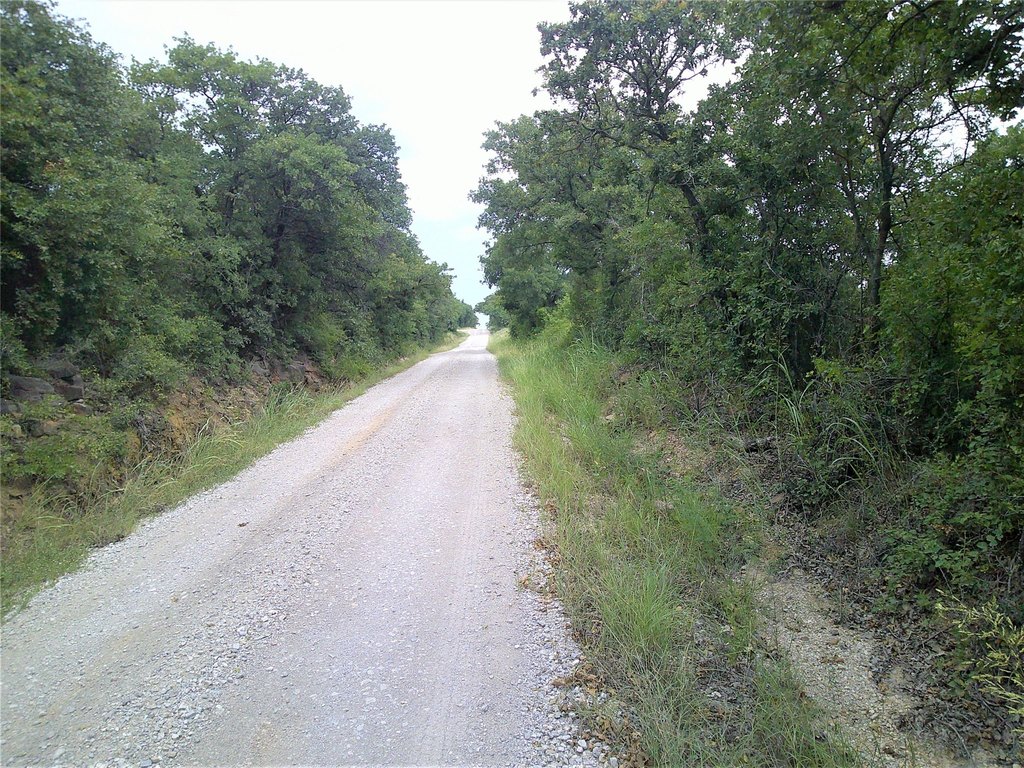 Picture 4