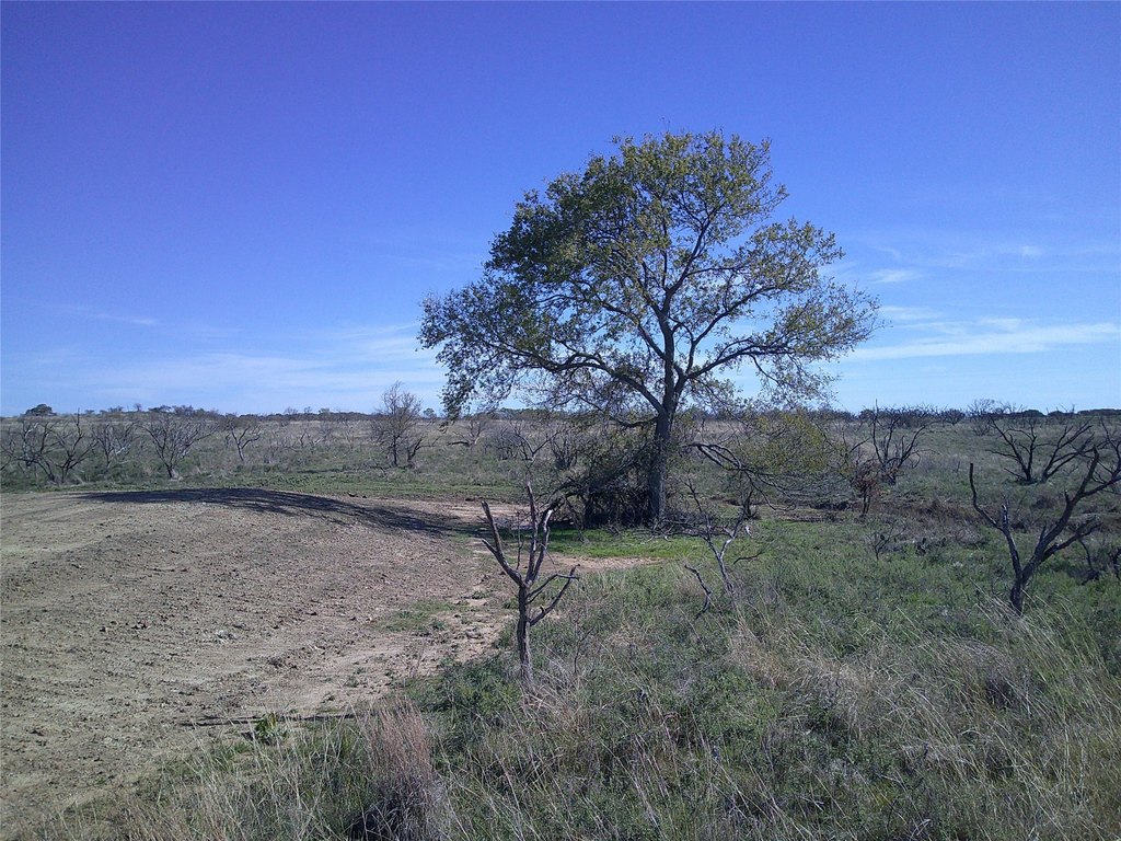 Picture 11