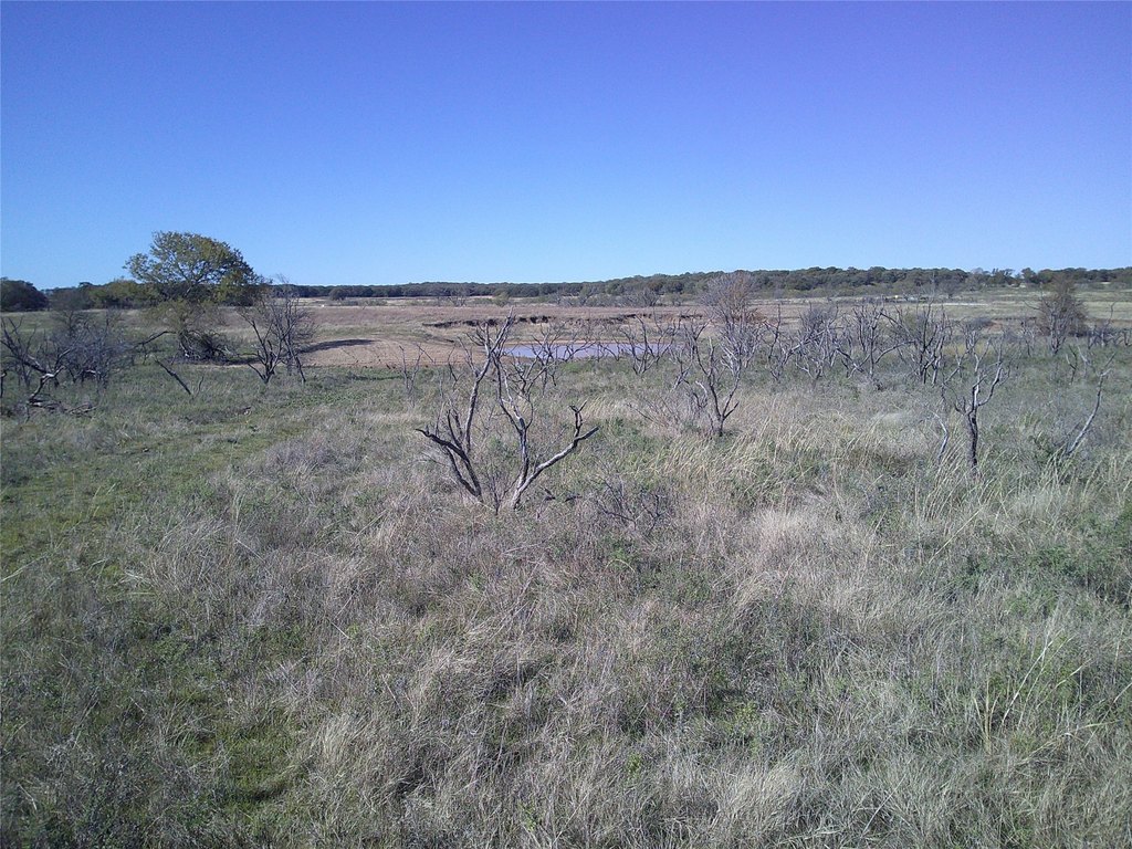 Picture 10
