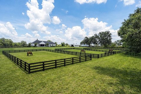 Equestrian Estate Near World Center