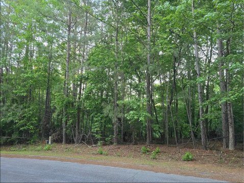 Wooded Lot in Savannah Lakes