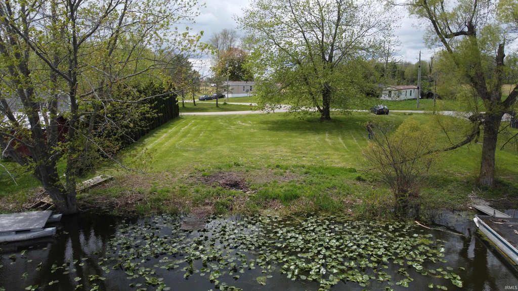 Picture 5