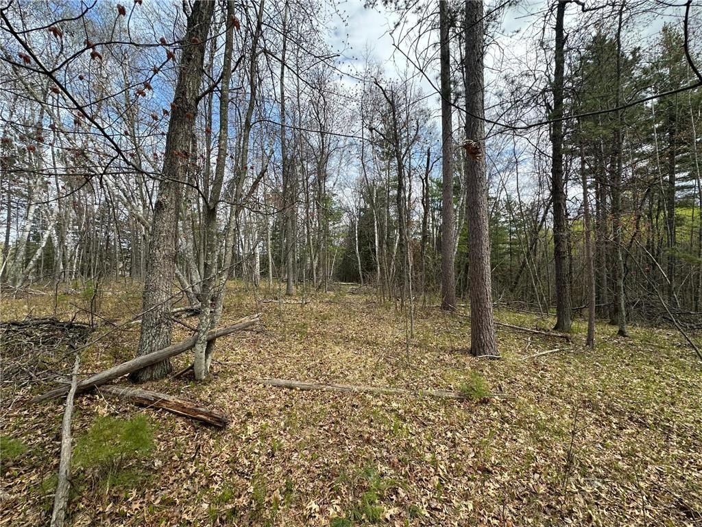 Picture 15