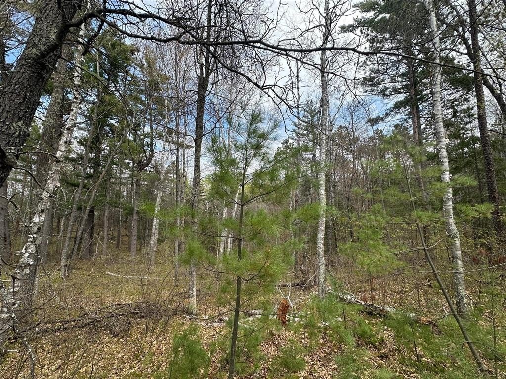 Picture 12