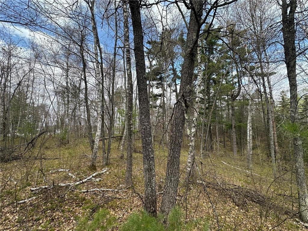Picture 14