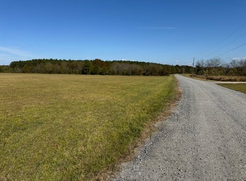 28.5-Acre Pasture and Woodline Land