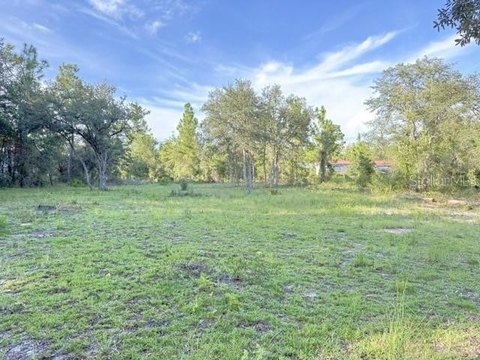 Land, WILLISTON, FL
