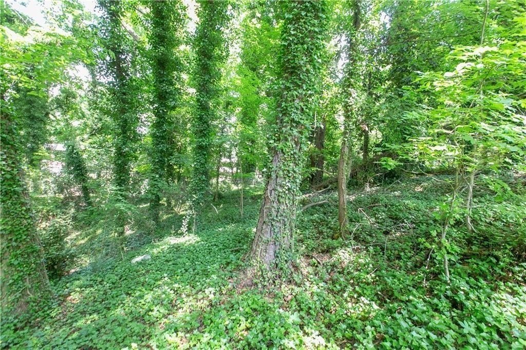 Picture 4