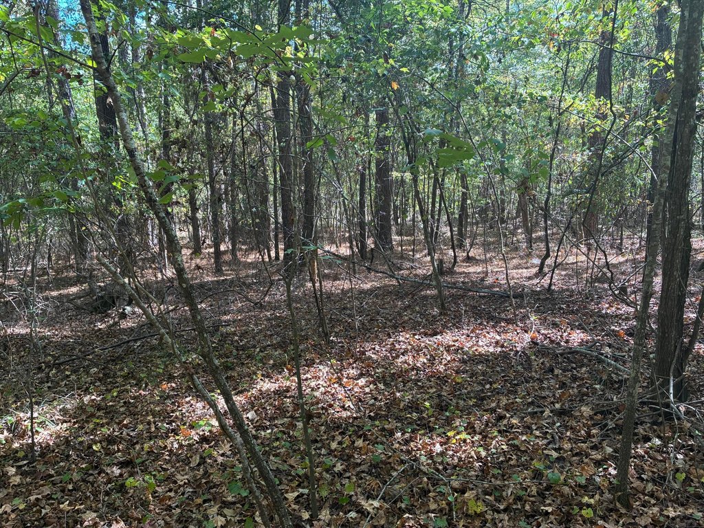 Picture 2