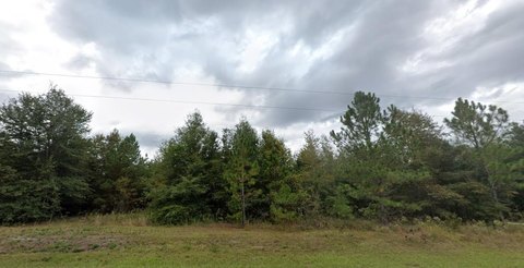 5.65 Acre Lot, Tallahassee