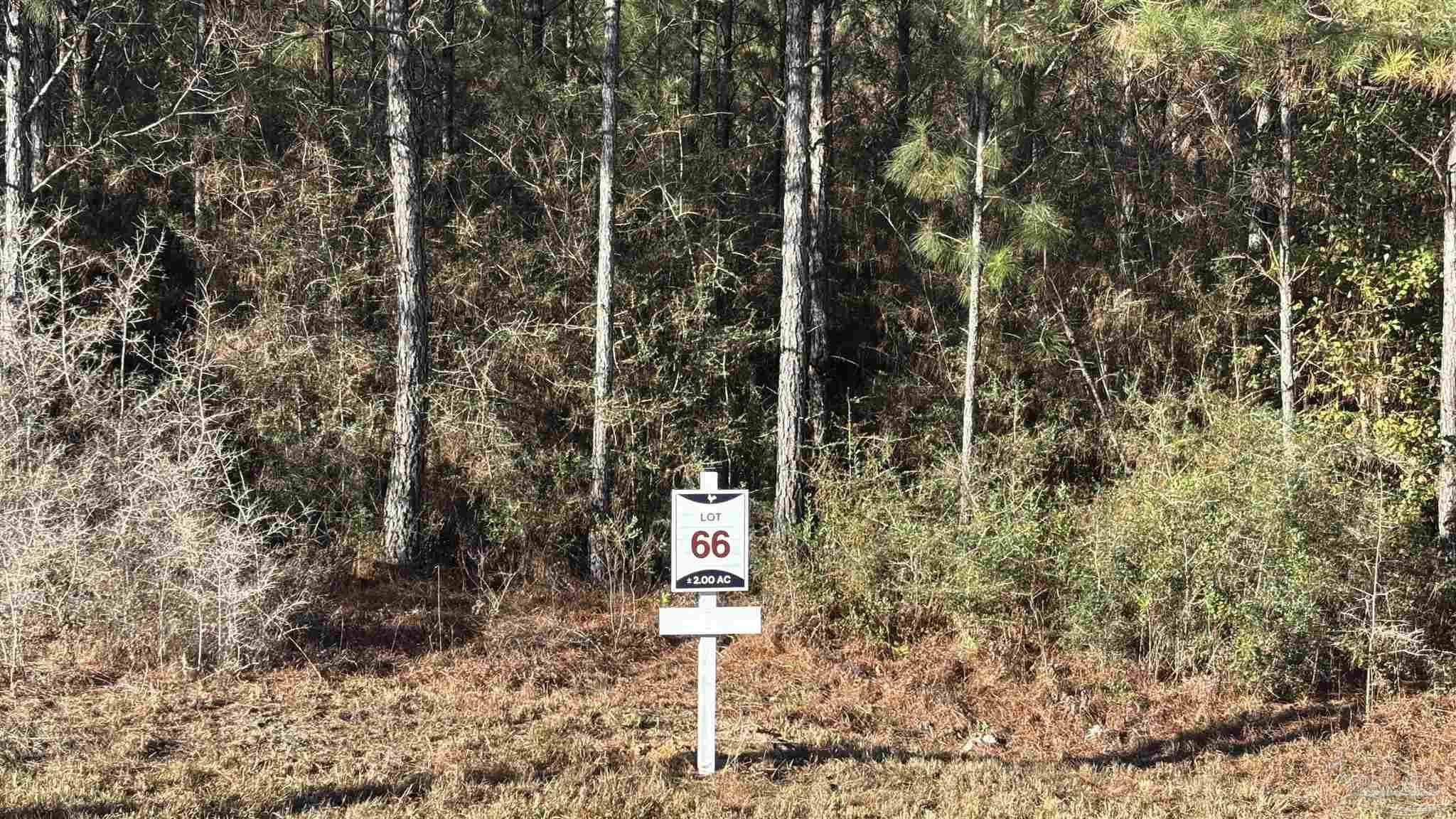 Allentown Land Parcel For Sale