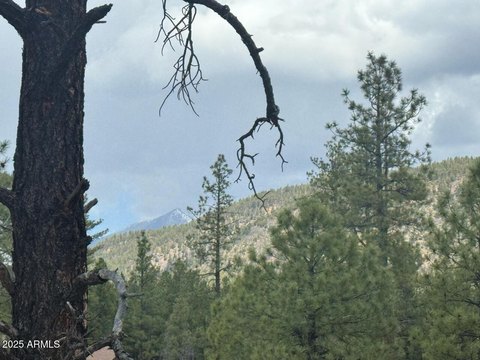 Land with Unsurpassed Views