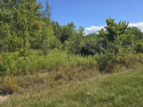 Highway 212 Development Opportunity